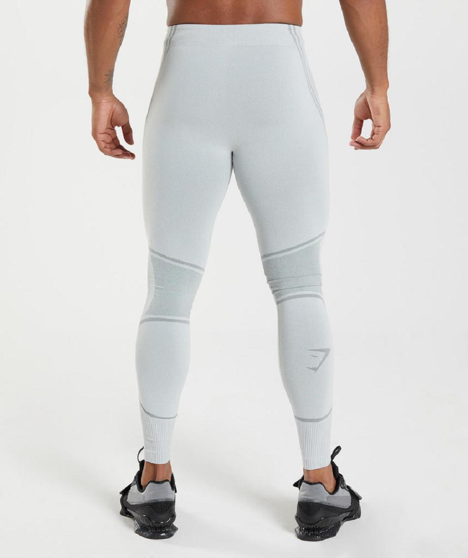 Mallas Gymshark 315 Seamless Hombre Gris Claro Gris | CO 3959XYU